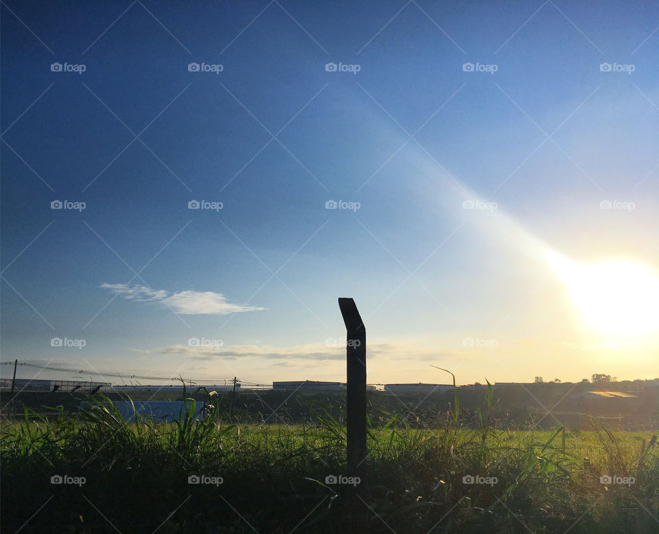 The rectilinear pole and the oval sun, along the continuous field and infinite horizon.  These are the lines and shapes of Brazil! / O poste retilíneo e o sol oval, ao longo do campo continuo e horizonte infinito. São as linhas e formas do Brasil!