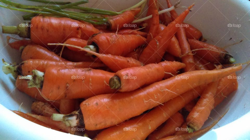 Food, Root, Carrot, Vegetable, No Person