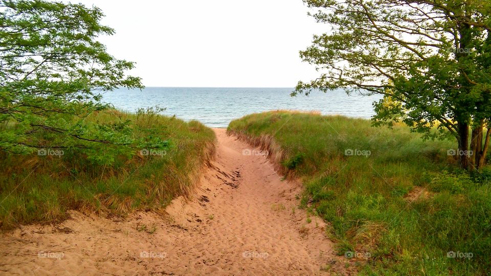 Landscape, Nature, No Person, Water, Tree