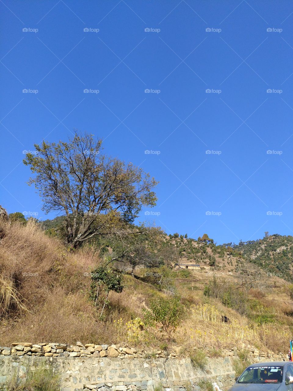 Wonderful scenery en route to Gangotri in the great Himalayan region
