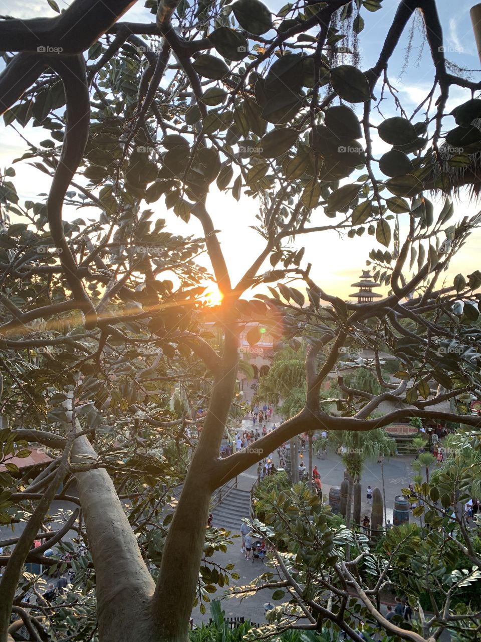 I couldn’t help myself. This photo is my happy place. With the sun breaking through the trees and a strand being highlighted.