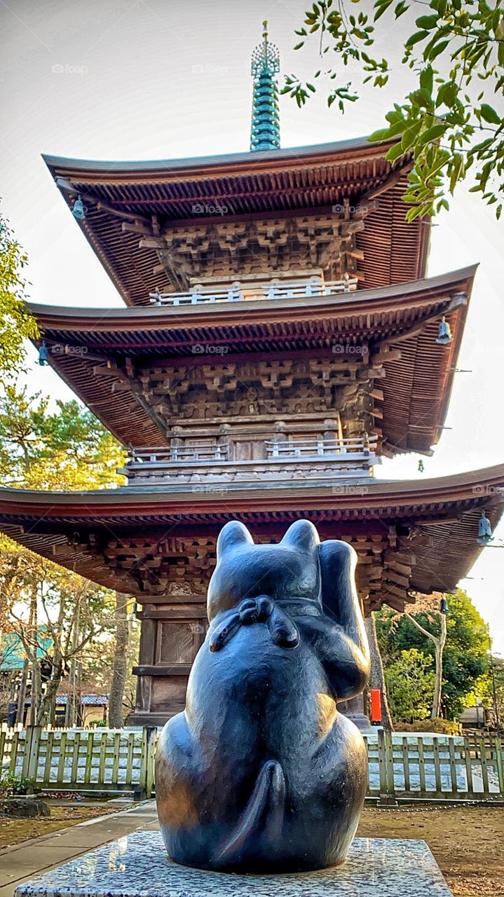 Manekineko “lucky cat” calling in good fortune, good luck at Gotokuji Temple. We all need a bit of luck in recent times! 