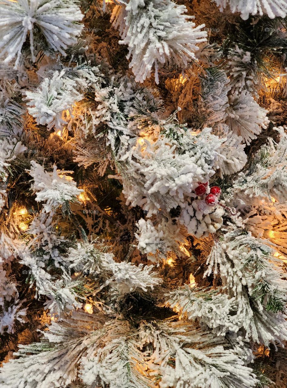 Christmas Tree of Snow and Lights