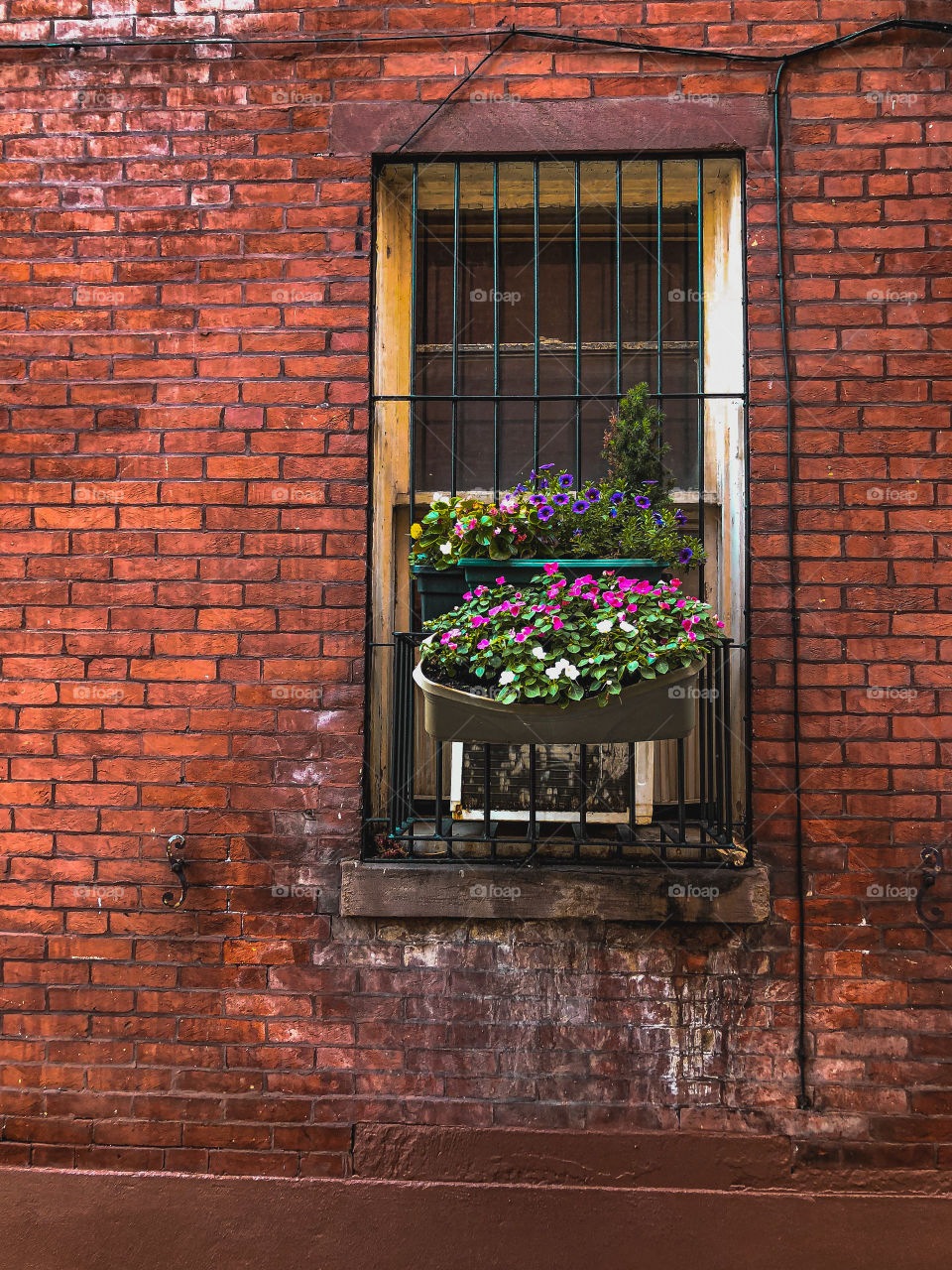 The brownstone homes in Philadelphia are absolutely beautiful. Hudreds of years old, patina and gorgeous as ever.
