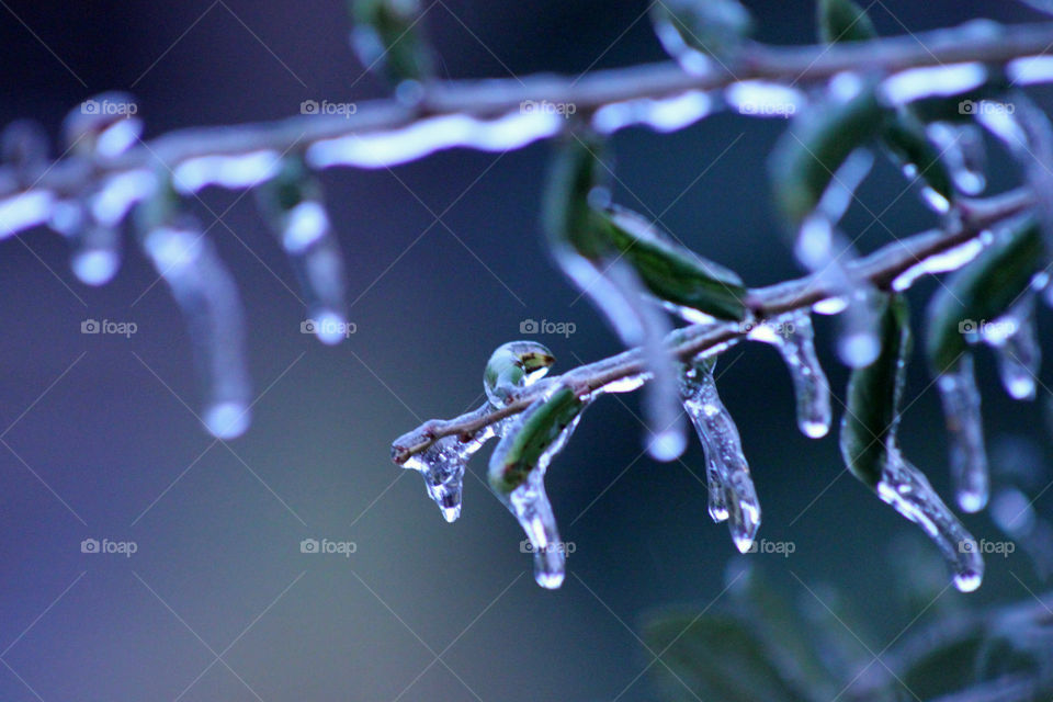 Ice Storm