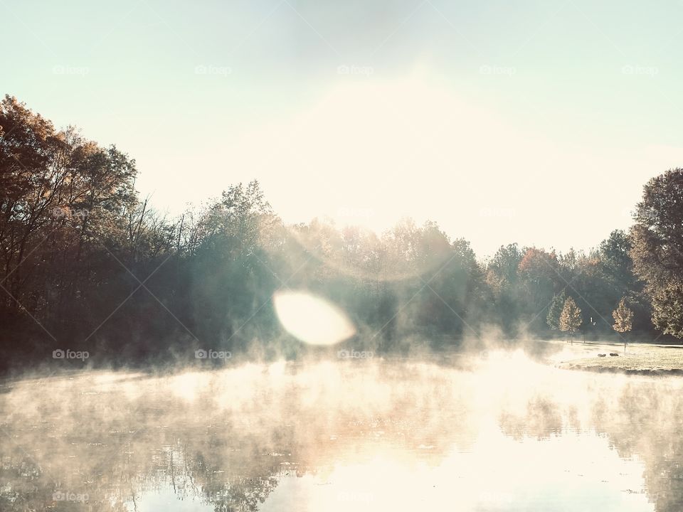 The mist rising from the pond at a local park. Lots of light, some shadows, a touch of green, and the pond looks like it’s on fire. 