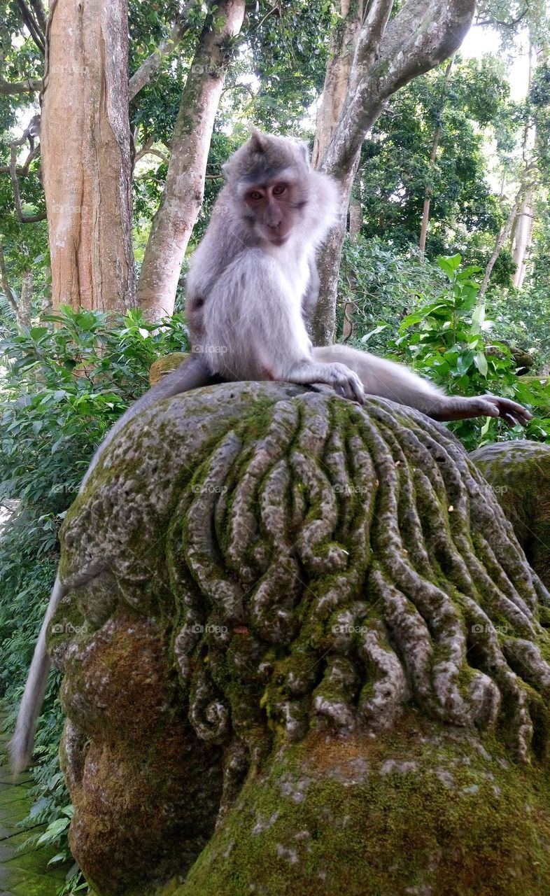 Monkey in the town🐵 Sculpture 🐵