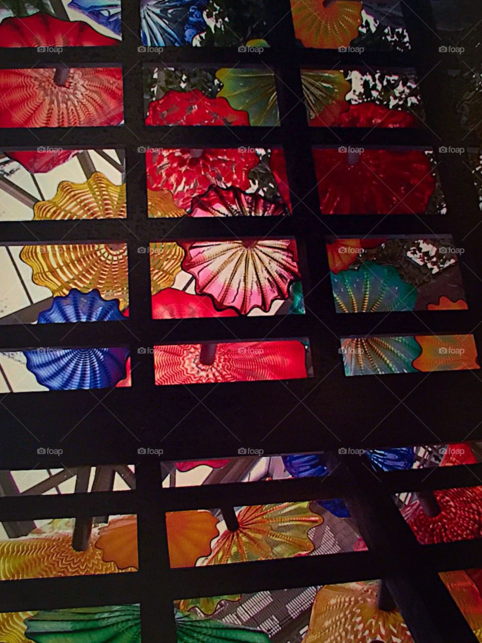Overhead Chihuly Glass Display