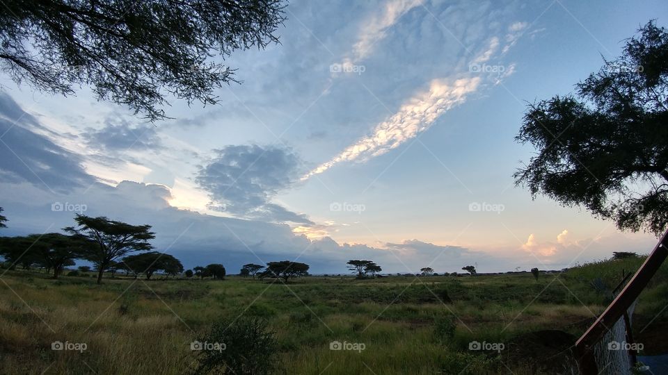 dusk in Uganda