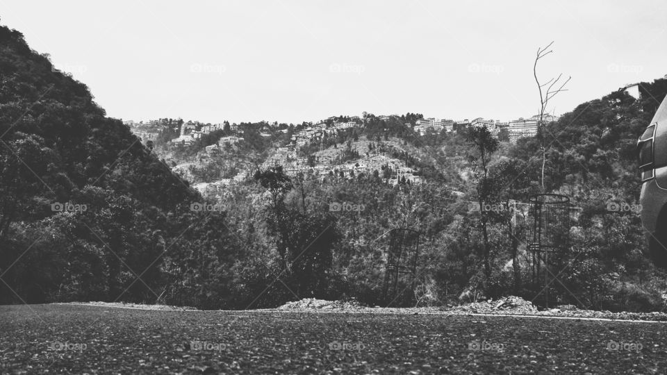 Tree, Landscape, No Person, Mountain, Hill