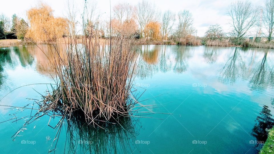 reflection of nature