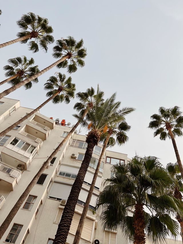 Palms up