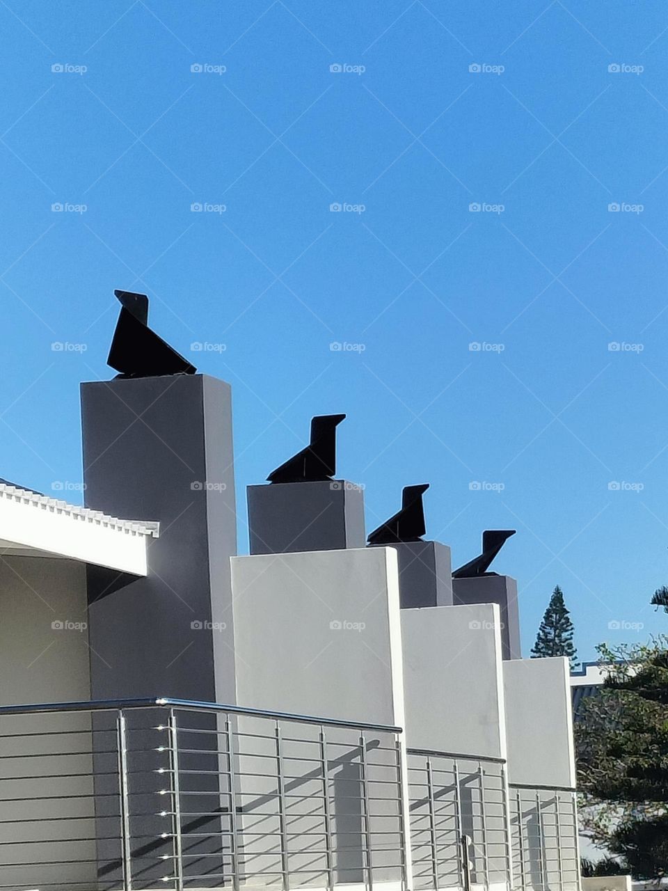 roof crows