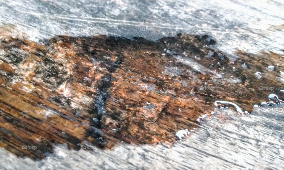 Water on wood