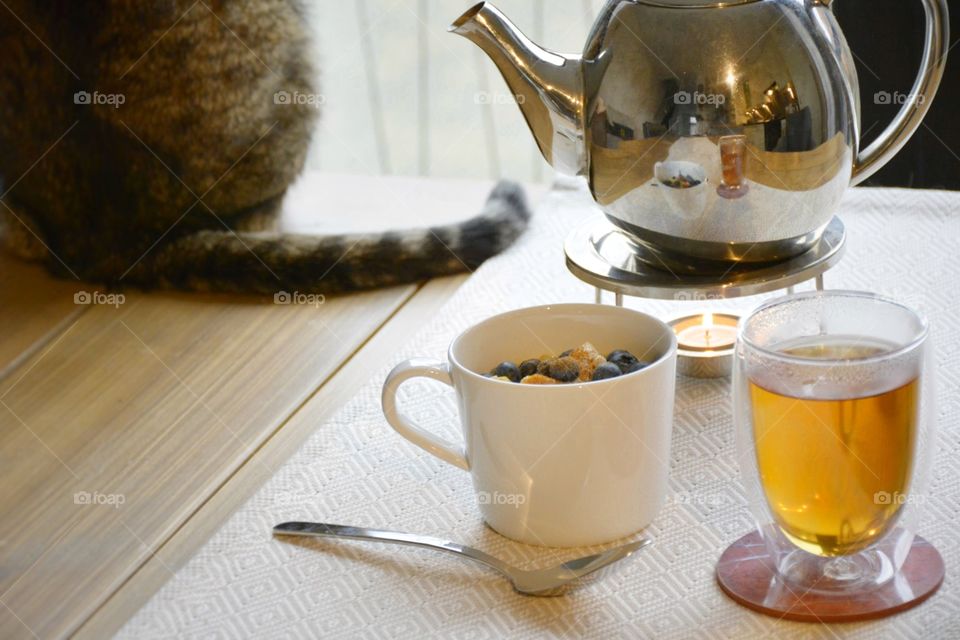 Healthy breakfast, tea and a cat