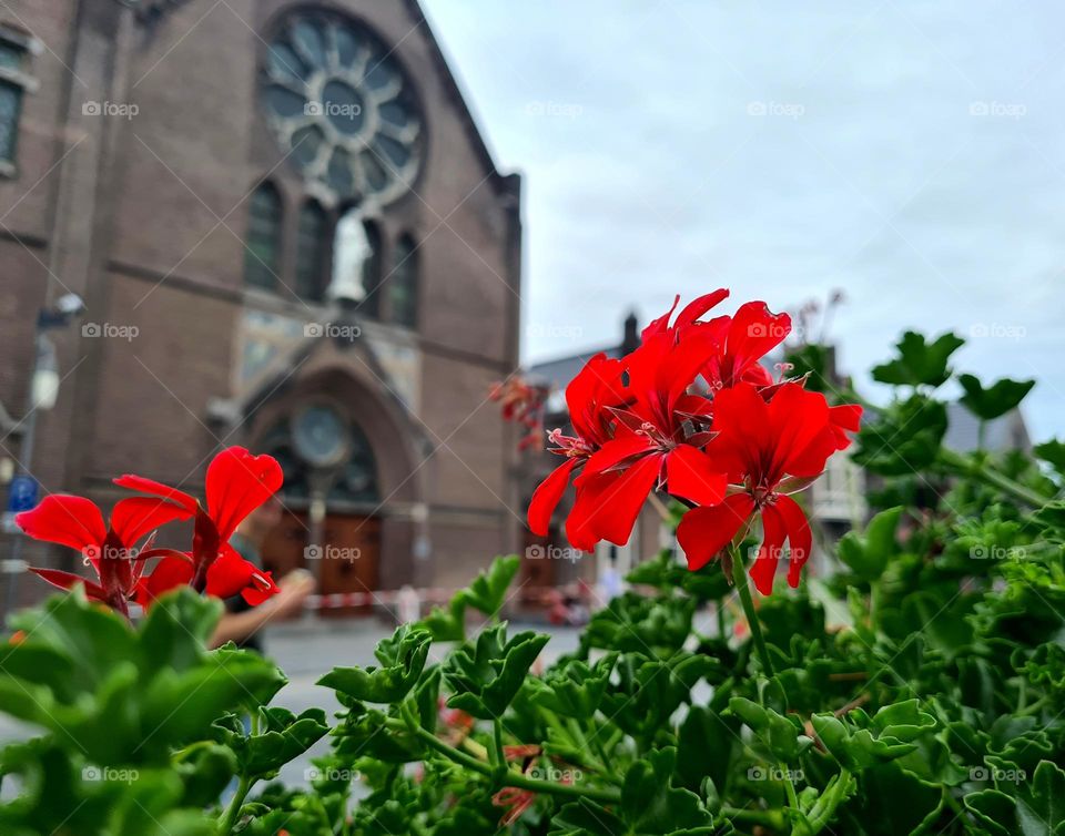 Zeeland, Netherlands 🇳🇱