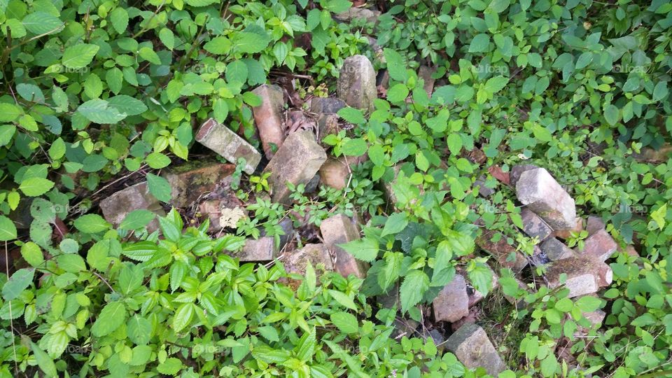 old bricks