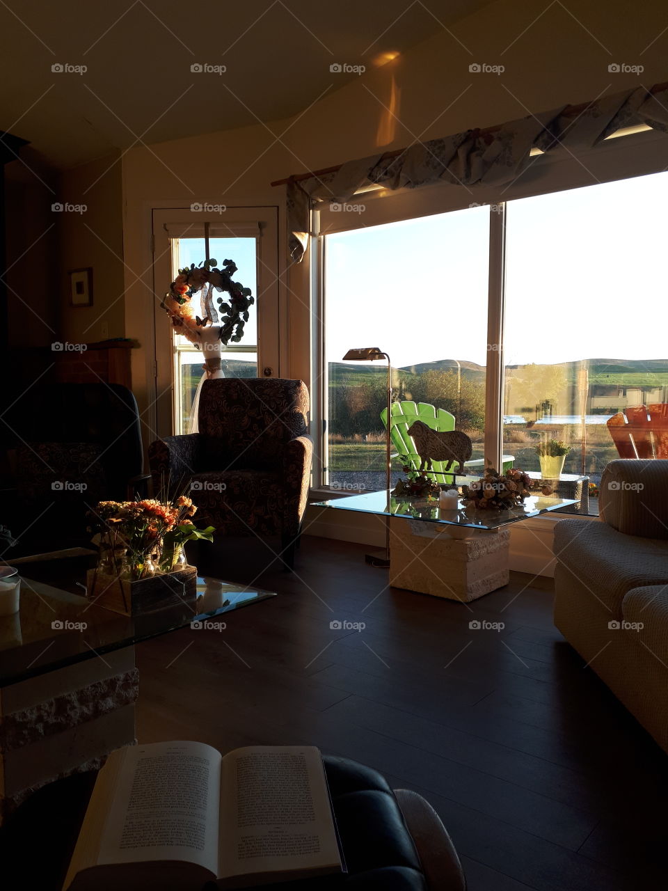 morning glory inside