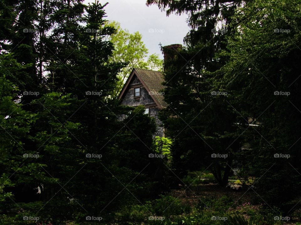 New York, Long Island, Nature, tree, plants, outdoors, calm, relax, shades, colors, Clouds, sky, architecture, house,