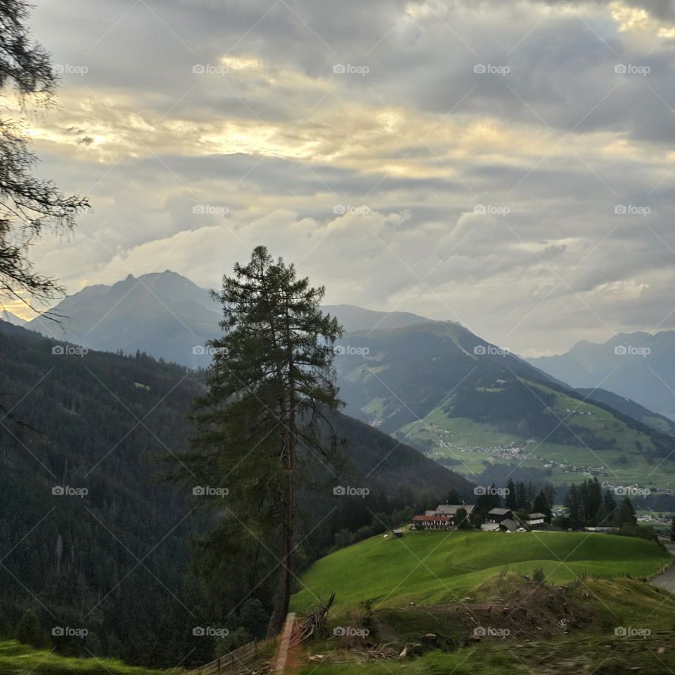 Light and Green Soul