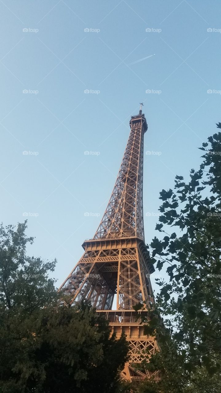 Eiffel Tower Paris