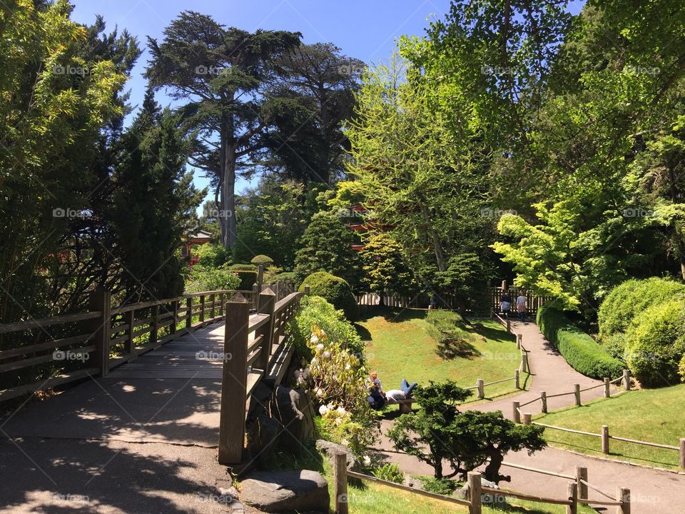 San Francisco Japanese Tea Garden 