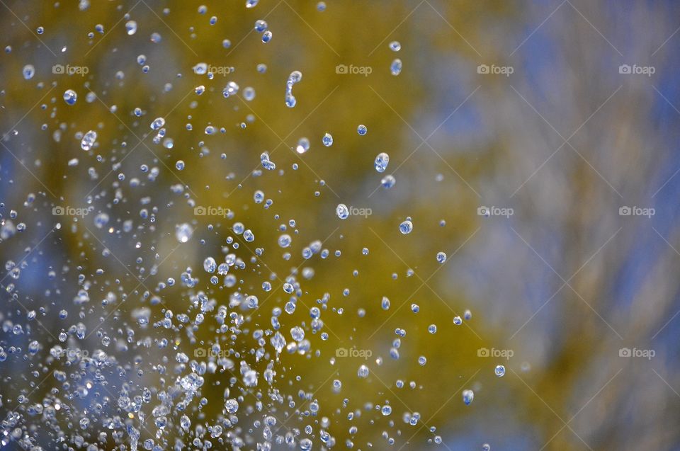 Dew, Rain, Drop, Blur, Wet