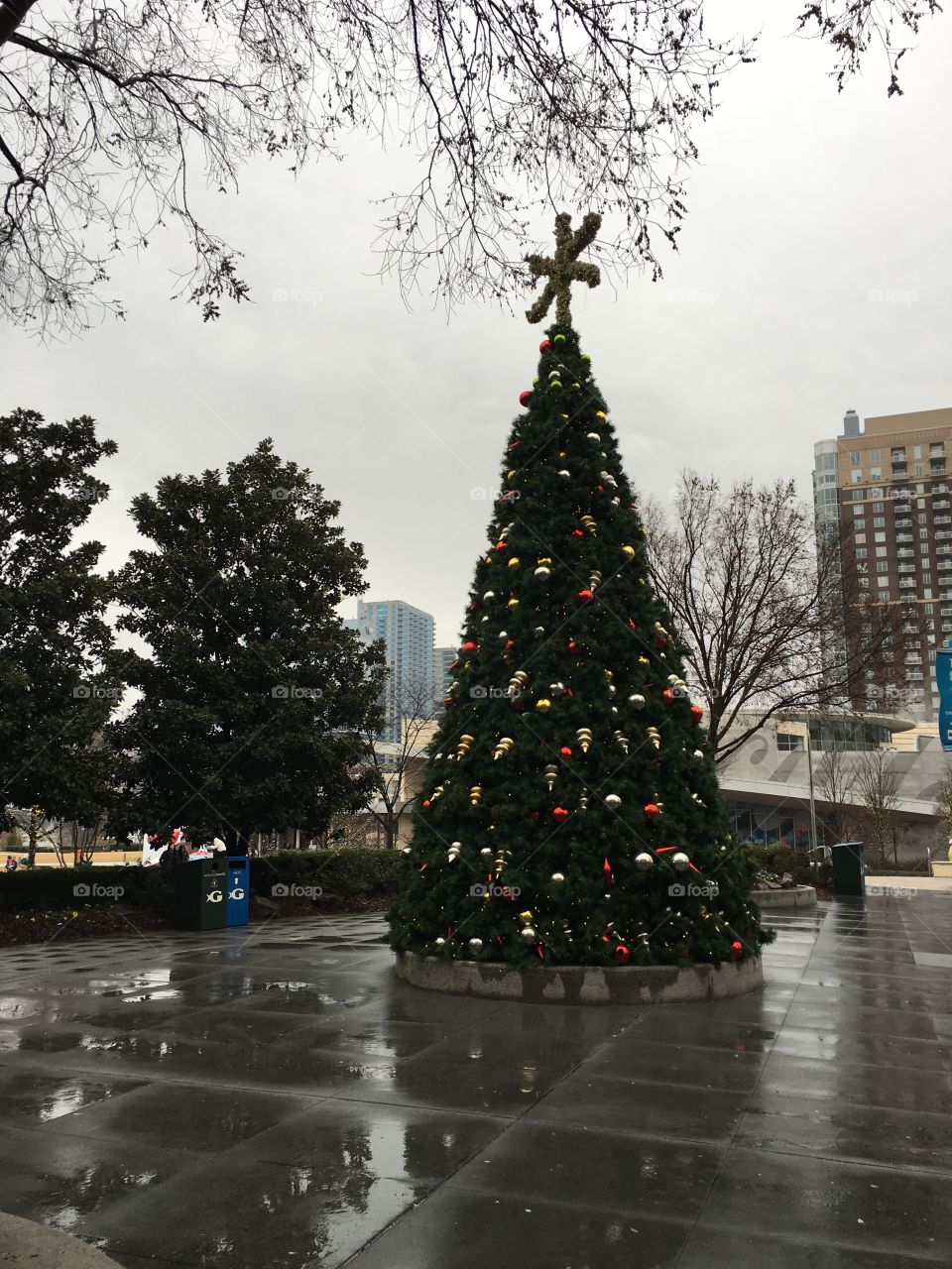 Christmas Tree at the Georgia Aquarium 