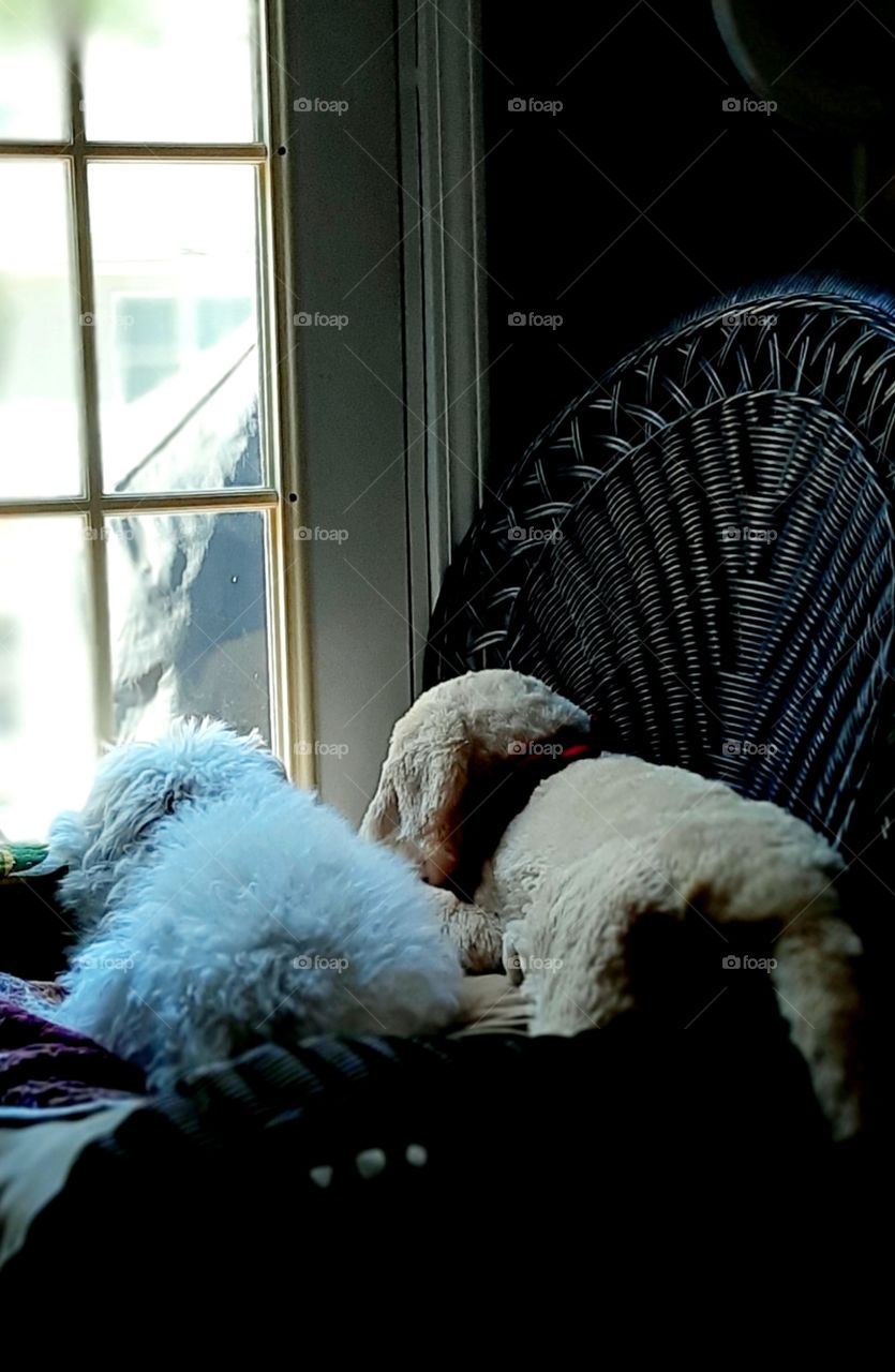 "on guard" sort of...