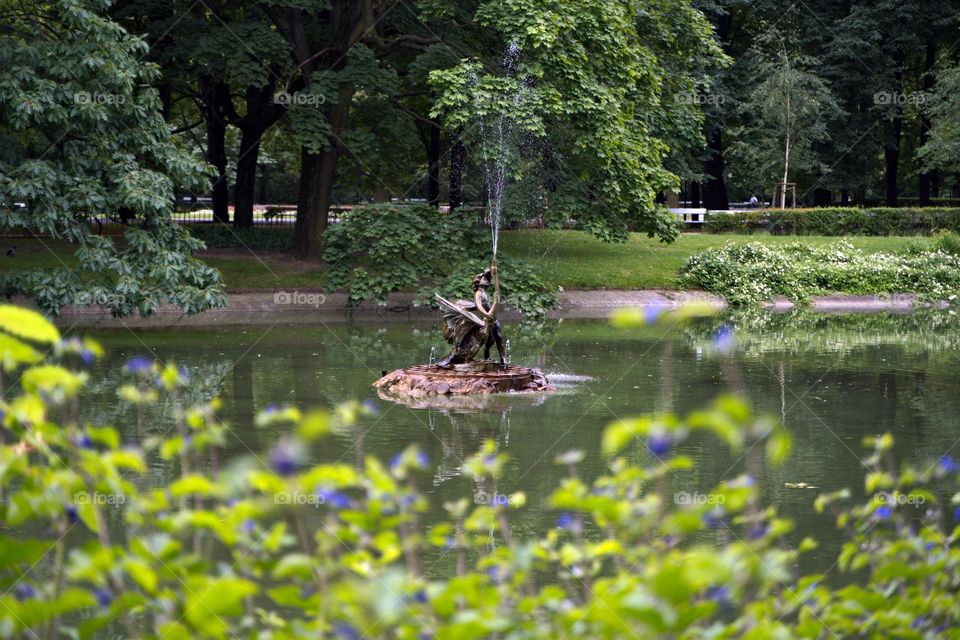 Fountain in the park