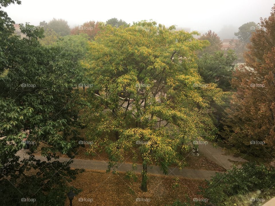 Midtown campus from above 