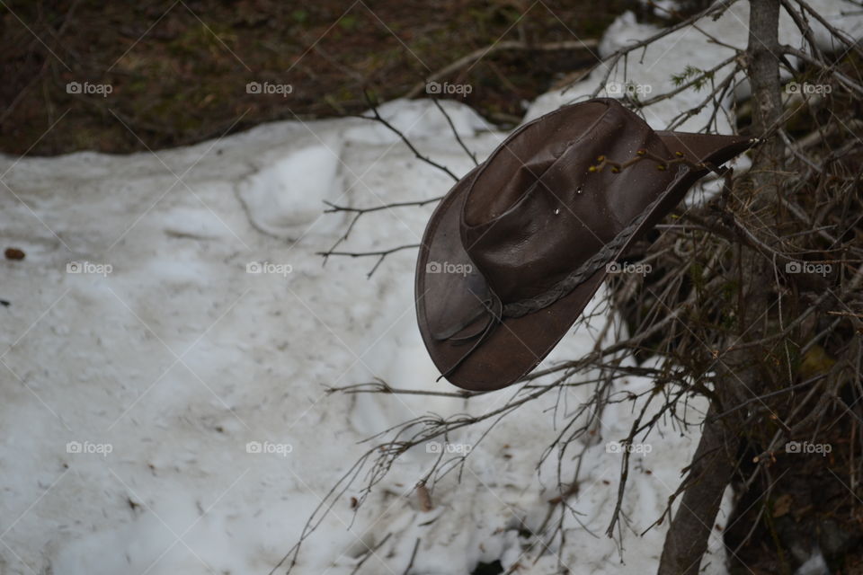 Australian leather bush hat hanging on pine tree in Rocky Mountains over snow