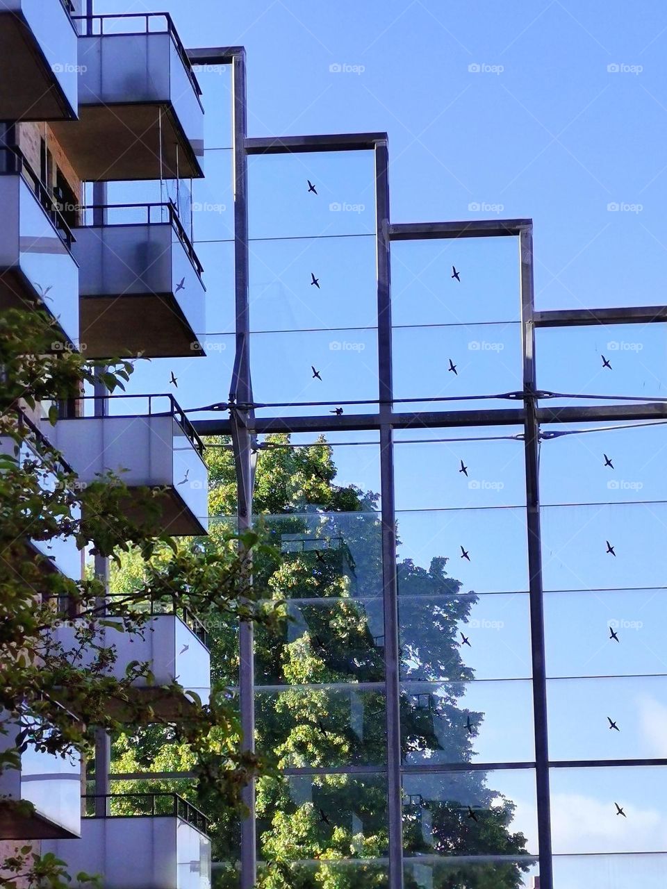 House with glass wall