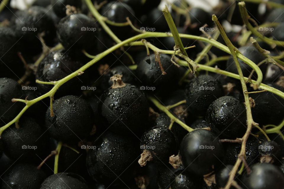 Wet Berries . Delicious berries 