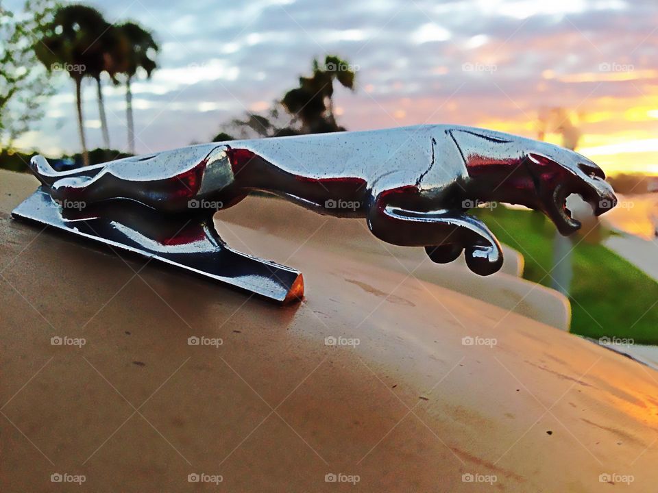 Jaguar hood ornament.