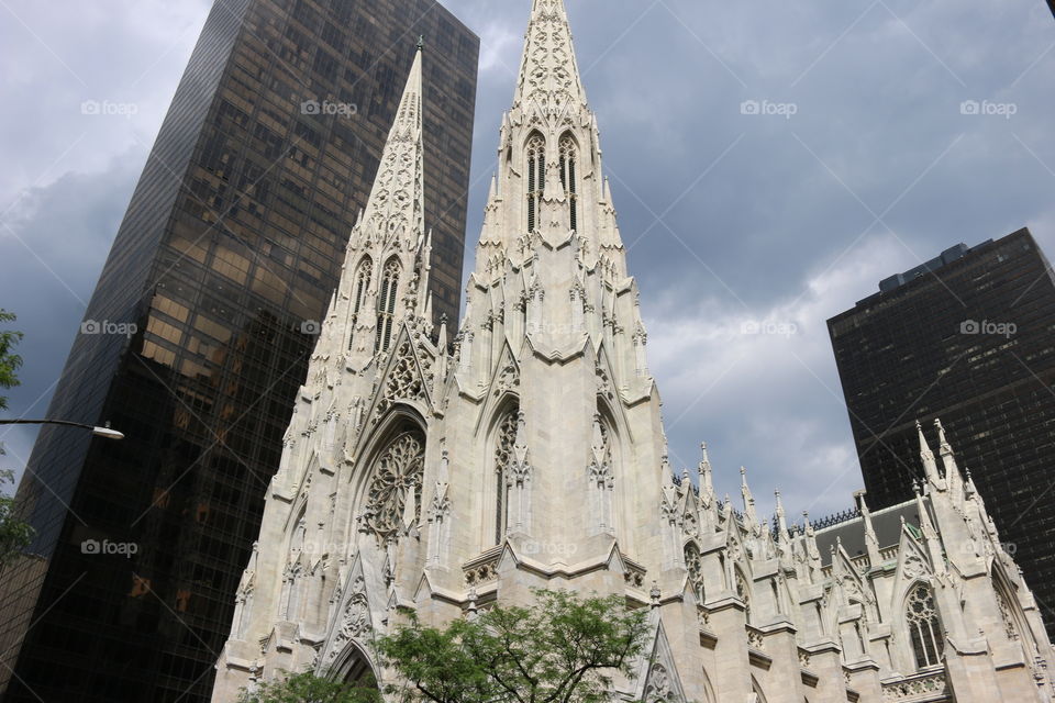 Saint Patrick Cathedral 