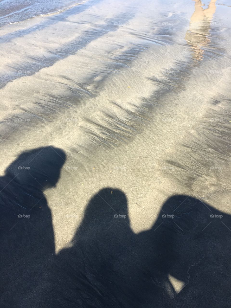 Shadows in the sand 