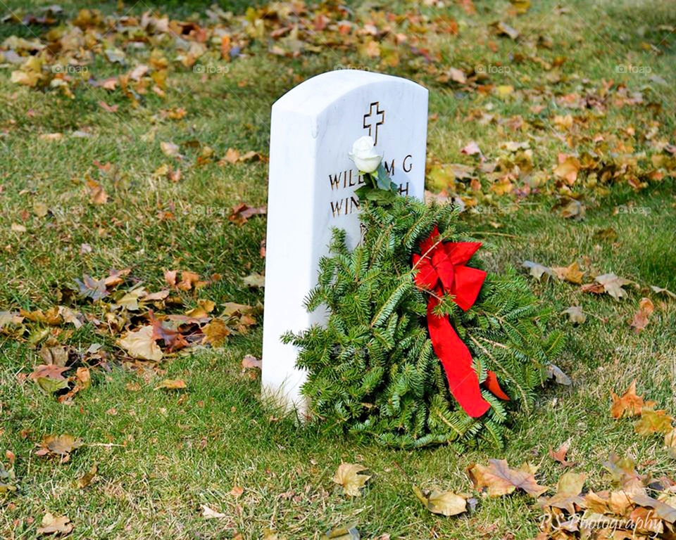 Wreath and single white rose. Arlington national cemetery wreaths across America ceremony