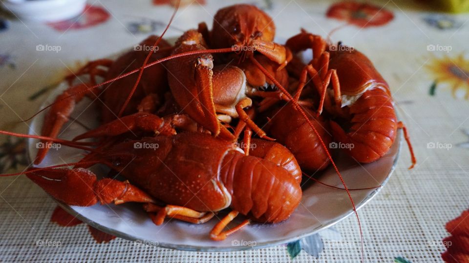 Lobster on plate