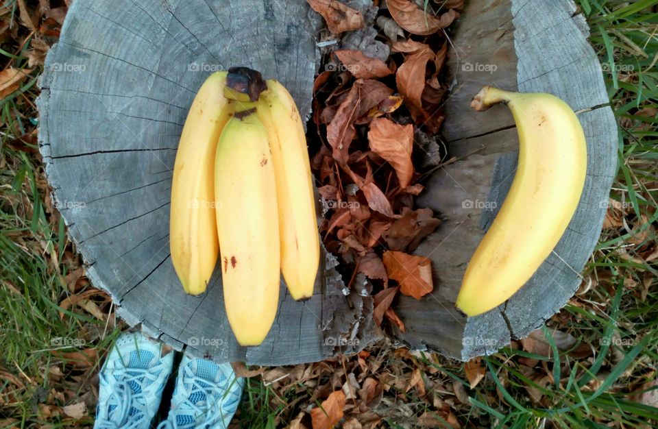 Banana, No Person, Wood, Fruit, Nature