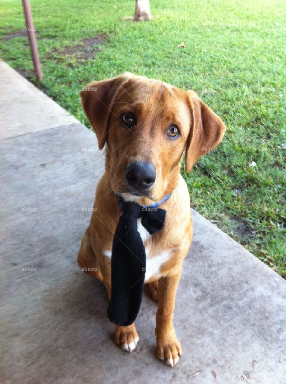 Benny in a tie 