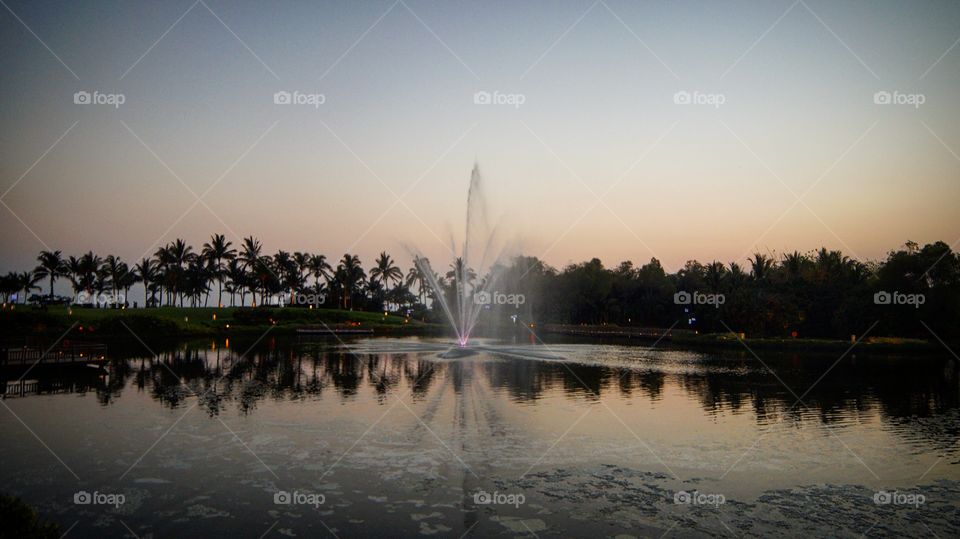 Reflections in paradise