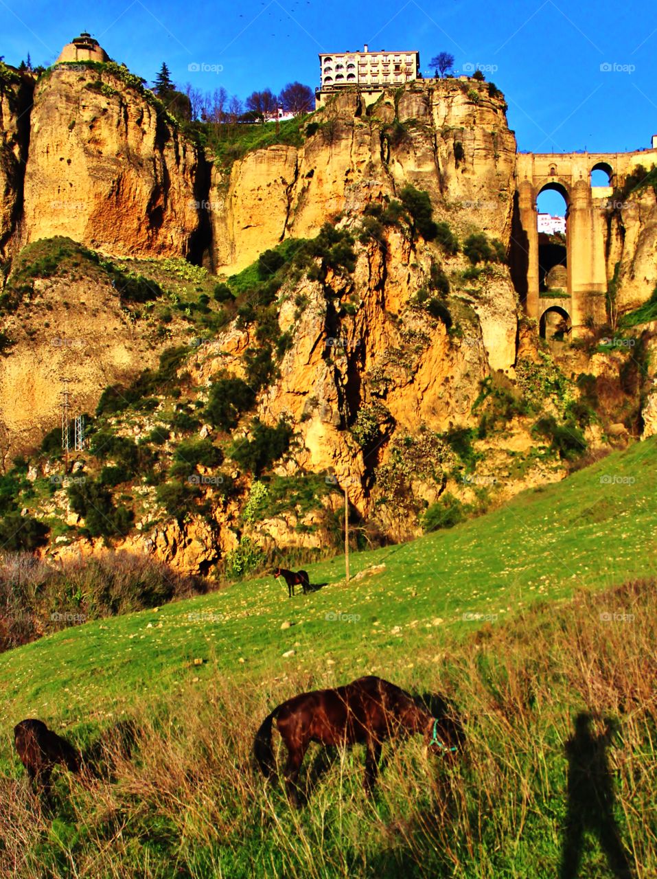 amazing gorge in south Spain. full of culture, history, and nature wows. shadow of me taking the picture