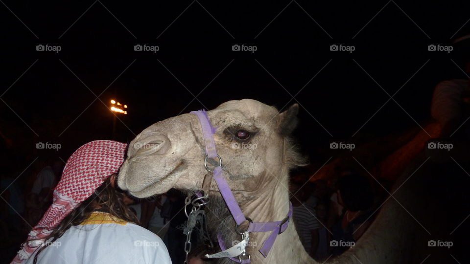 I Have To Tell You Something...