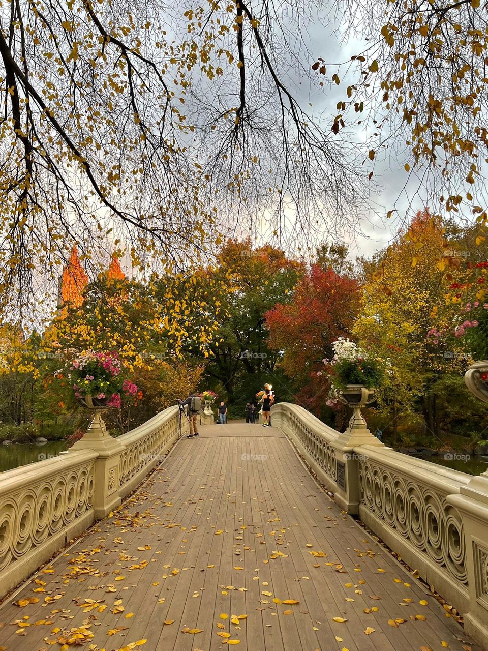 Central park...New York