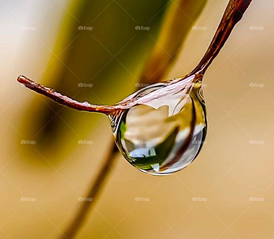 a drop of water