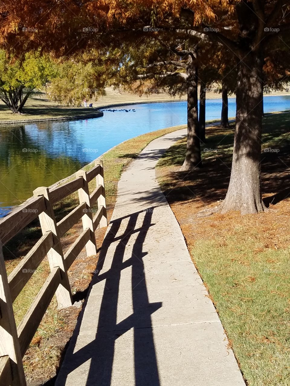 Fence adds the needed touch