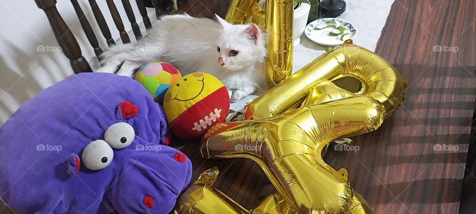 The birthday party is over now let's take a rest in my bed of bold colors