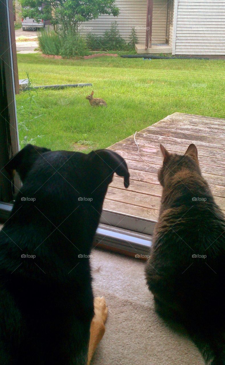 When the only thing between you and dinner with your bff is a screen.