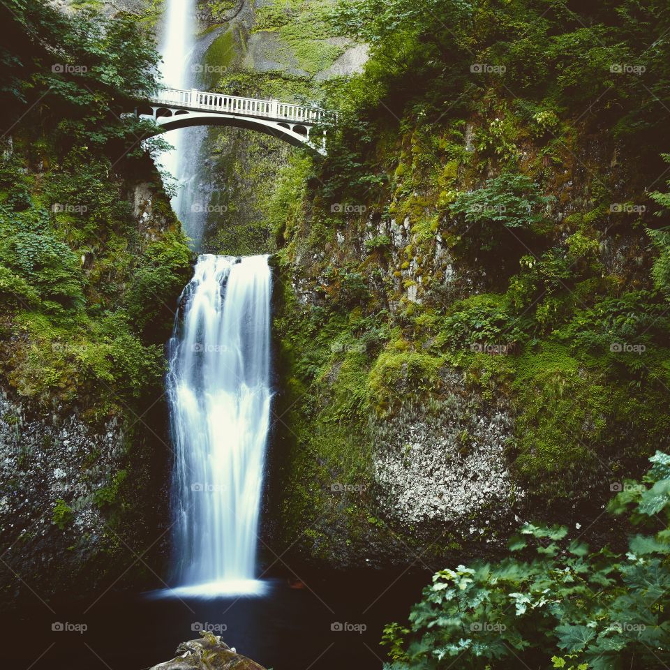 Multnomah falls Oregon State